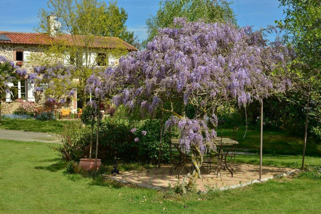 La Frapperie Bed and Breakfast La Pommeraie-sur-Sèvre Exteriör bild